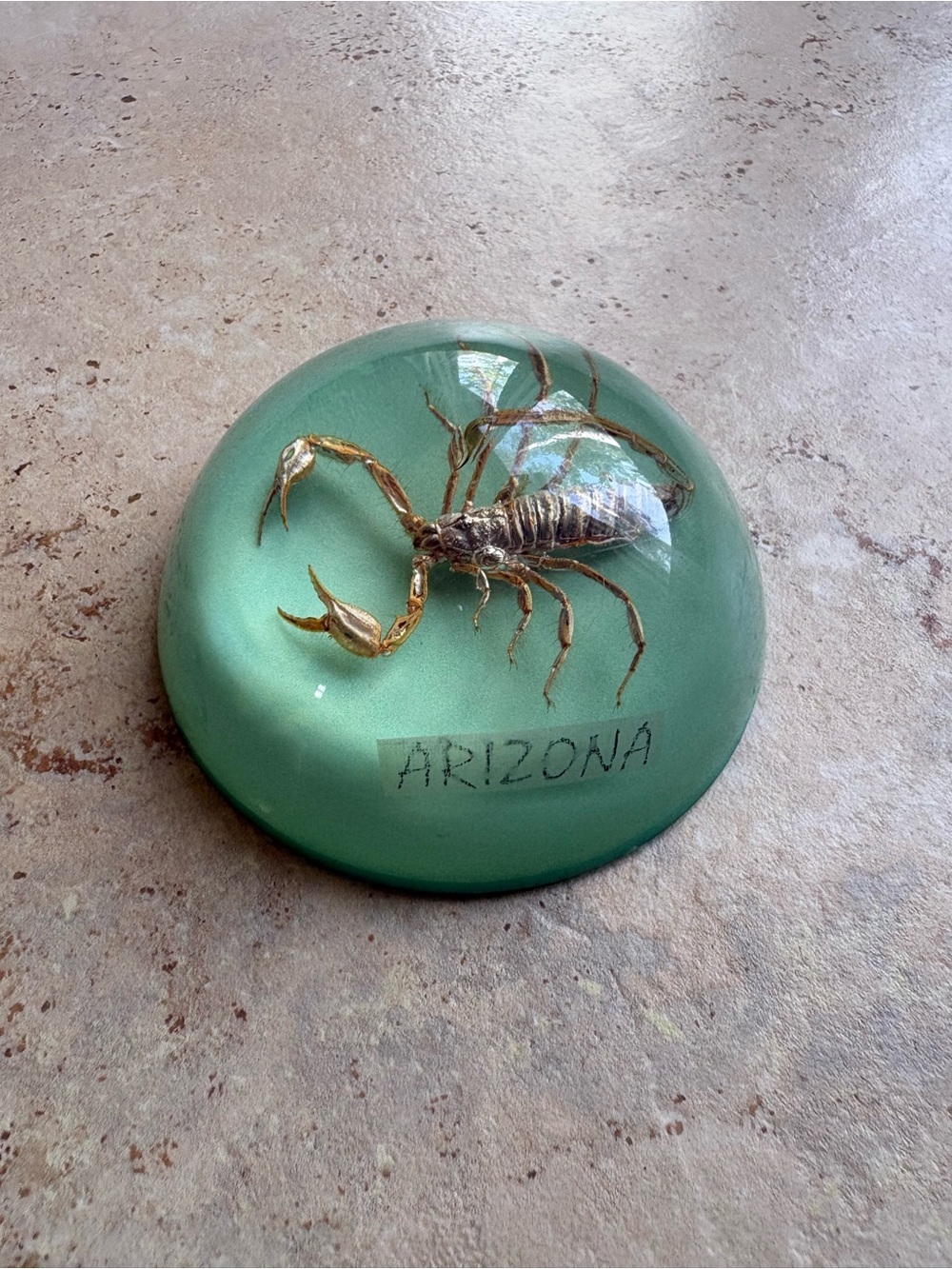 Scorpion Paper Weight - Picture 4 of 4
